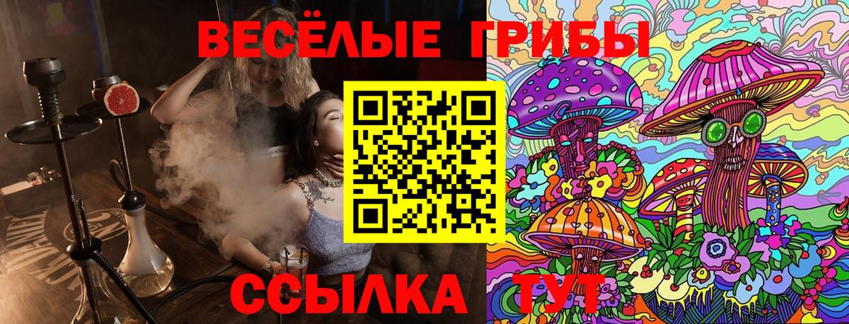 Качканар  Галлюциногенные грибы Psilocybe  Вход с VPN  Галлюциногенные грибы ЛСД 