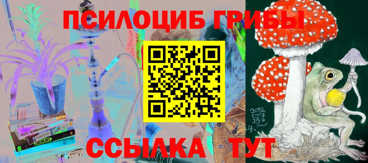 Псилоцибиновые грибы мухоморы Качканар